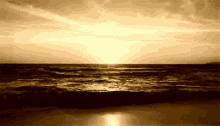 Gold GIF - Gold Golden Sunset GIFs