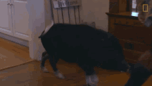 Learning To Walk Again Disabled GIF - Learning To Walk Again Disabled One Foot In Front Of The Other GIFs