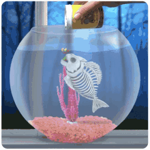 Fish Skeleton Fish Bowl GIF - Fish Skeleton Fish Bowl Fish Zombie GIFs
