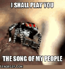 spider song play spider song play