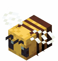 minecraft minecraft bee bee