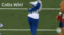 Colts Colts Win GIF - Colts Colts Win Winner GIFs