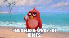 Angry Birds Red GIF - Angry Birds Red News Flash GIFs