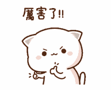 mochi peach cat thumbs up white cute kawaii
