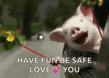 Pig Excited GIF - Pig Excited Yay GIFs