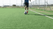 rapido tecnica