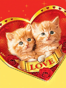 Amour Love GIF - Amour Love Cute GIFs