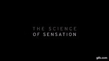 Thx Logo The Science Of Sensation GIF - Thx Logo The Science Of Sensation Text GIFs