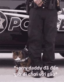 Gấu GIF - Cat Police Policecat GIFs