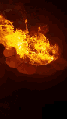On Fire GIF - On Fire Pit GIFs