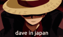 Luffy Dave In Japan GIF - Luffy Dave In Japan Dave GIFs