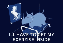 rhino fitness