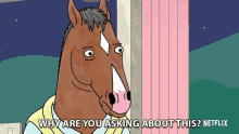 Why Are You Asking Me About This Bojack GIF - Why Are You Asking Me About This Bojack Bojack Horseman GIFs