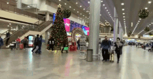 tree holiday