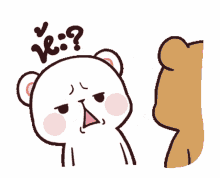 confused bear