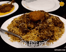 Biriyani Kacchi GIF - Biriyani Kacchi Bangladeshi Food GIFs