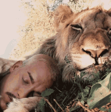 Sleeping With A Lion Dean Schneider GIF - Sleeping With A Lion Dean Schneider Dean Schneider Vlogs GIFs