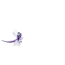 bar%C3%A1t dragonfly insect bar%C3%A1t dragonfly insect