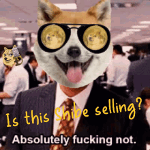 Doge Dogecoin GIF - Doge Dogecoin Not Selling GIFs