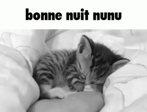 Bonne Nuit Nunu Nunu Gif Bonne Nuit Nunu Nunu Petit Chat Discover Share Gifs