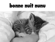 Bonne Nuit Nunu Petit Chat GIF - Bonne Nuit Nunu Nunu Petit Chat GIFs