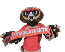 Fau Florida Atlantic University GIF - Fau Florida Atlantic University Florida Atlantic GIFs