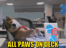Laptop Dog All Paws On Deck GIF - Laptop Dog Laptop All Paws On Deck GIFs