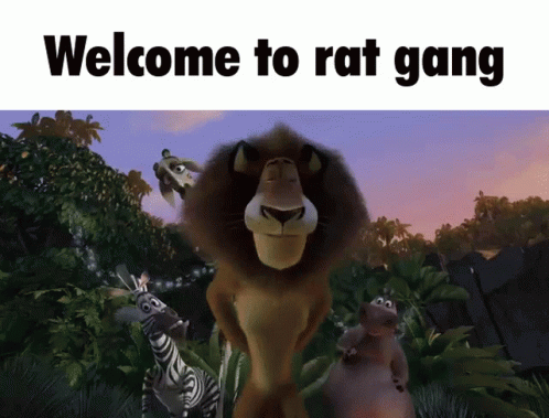 Rat Gang,rat,gang,alex,madagascar,lion,Welcome To Rat Gang,welcome,Hi There,gif,anima...