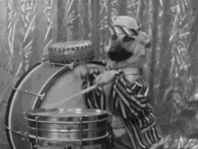 Drums Dogplayingsnaredrum GIF - Drums Dogplayingsnaredrum Funny Animals GIFs