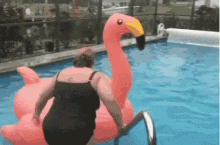 Pool Flamingo GIF - Pool Flamingo Awkward GIFs