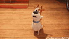 Max Excited GIF - Max Excited Happy GIFs