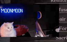 Eddie Moonmoon GIF - Eddie Moonmoon Moon2e GIFs