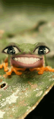 Frog Silly GIF - Frog Silly Tongue GIFs