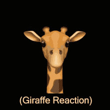 Giraffe Reaction GIF - Giraffe Reaction GIFs