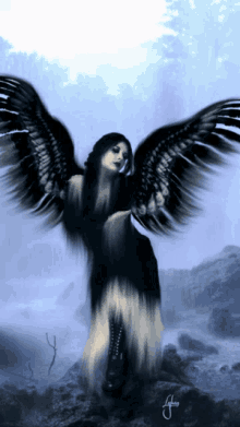 Flashing Fallen Angel GIF - Flashing Fallen Angel Wings GIFs