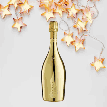 bottega prosecco sparkling gold wine