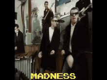 Madness Madness Band GIF - Madness Madness Band Madness Group GIFs