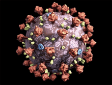 coronavirus sars cov2 cell virus coronavirus sars cov2 cell virus