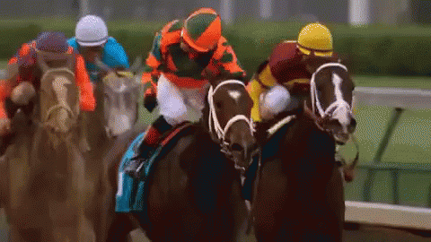 Horse Jockey GIF - Jockey Horse Jockey Horse Race - Descubre & Comparte GIFs