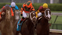 jockey horse jockey horse race animal abuse horse racing