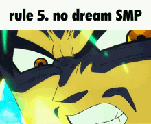 rule5no dream smp rule5no dream rule5 dream broly