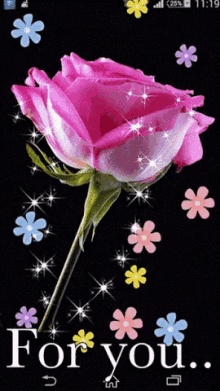 Flower Pink Rose GIF - Flower Pink Rose For You GIFs