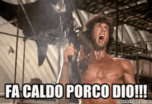 stallone caldo