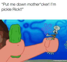 pickle rick im and morty
