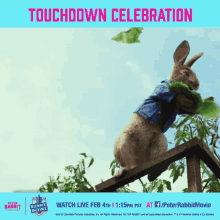 touchdown celebration bunny bowl peter rabbit