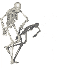 fast skeleton