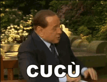 Cucù Berlusconi GIF - Silvio Berlusconi Cucu Sorpresa GIFs