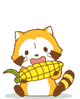 Corn Raccoon Sticker - Corn Raccoon Stickers