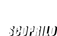 Scopriloinrp Roleplay Sticker - Scopriloinrp Rp Roleplay Stickers