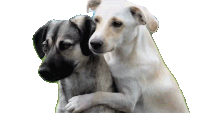 Dog Cuddle Sticker - Dog Cuddle Hug Stickers